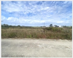  2024Ÿ54532  س   1146-1      ()