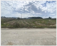  2024Ÿ54532  س   1146-1      ()