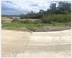  2024Ÿ54532  س   1146-1      ()