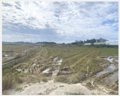  2024Ÿ54532  س   1146-1      ()