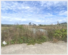  2024Ÿ54532  س   1146-1      ()