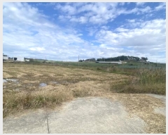  2024Ÿ54532  س   1146-1      ()