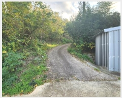  2024Ÿ��54822 ���� �س��� ������ ���׸� 599      ����(��1)���