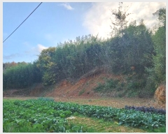  2024Ÿ��54822 ���� �س��� ������ ���׸� 599      ����(��1)���