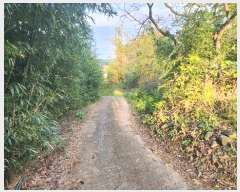  2024Ÿ��54822 ���� �س��� ������ ���׸� 599      ����(��1)���