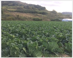  2024Ÿ54839  س ȭ ſ 462      ()