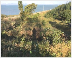  2024Ÿ54839  س ȭ ſ 462      ()