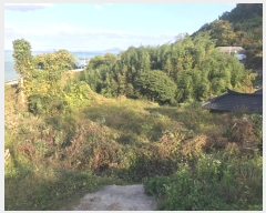  2024Ÿ54839  س ȭ ſ 462      ()