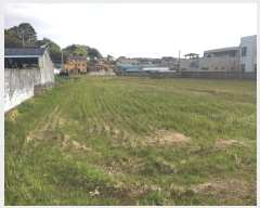  2024Ÿ54839  س ȭ ſ 462      ()