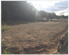  2024Ÿ54839  س ȭ ſ 462      ()