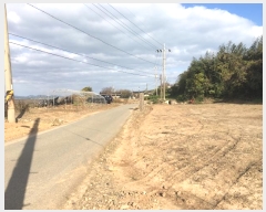  2024Ÿ54839  س ȭ ſ 462      ()