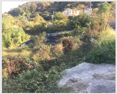  2024Ÿ54839  س ȭ ſ 462      ()