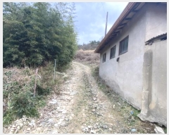  2024Ÿ55337  س ȭ  98-1      (1)