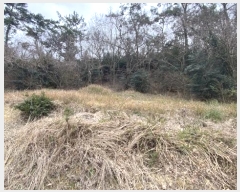  2024Ÿ55337  س ȭ  98-1      (1)