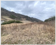  2024Ÿ55337  س ȭ  98-1      (1)