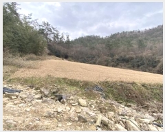  2024Ÿ55337  س ȭ  98-1      (1)