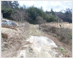  2024Ÿ55337  س ȭ  98-1      (1)