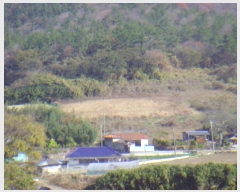  2024Ÿ55337  س ȭ  98-1      (1)