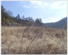  2024Ÿ55337  س ȭ  98-1      (1)