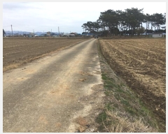  2024Ÿ��55429  ���ð��