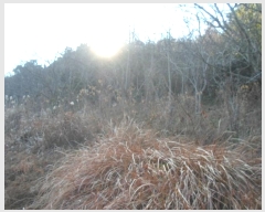  2024Ÿ55481  ϵ ݴ 츮 1130      (1)