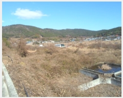  2024Ÿ55481  ϵ ݴ 츮 1130      (1)