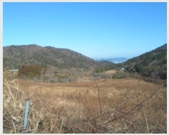  2024Ÿ55481  ϵ ݴ 츮 1130      (1)