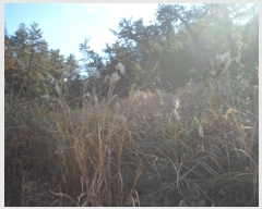  2024Ÿ55481  ϵ ݴ 츮 1130      (1)