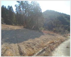  2024Ÿ55481  ϵ ݴ 츮 1130      (1)