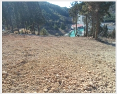  2024Ÿ55481  ϵ ݴ 츮 1130      (1)