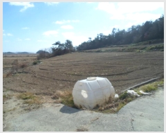  2024Ÿ55481  ϵ ݴ 츮 1130      (1)