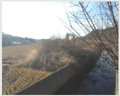  2024Ÿ55481  ϵ ݴ 츮 1130      (1)