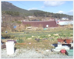  2024Ÿ��55917 ���� �ϵ��� �Ҿȸ� �̶� 996      ����(��1)���