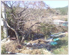  2024Ÿ��55917 ���� �ϵ��� �Ҿȸ� �̶� 996      ����(��1)���