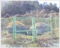  2024Ÿ��55917 ���� �ϵ��� �Ҿȸ� �̶� 996      ����(��1)���