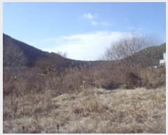  2024Ÿ��55917 ���� �ϵ��� �Ҿȸ� �̶� 996      ����(��1)���