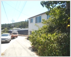  2024Ÿ��1668 ���� �ϵ��� ��ȭ�� ��õ�� ��9-1      �������