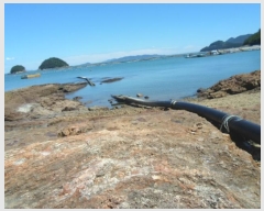  2024Ÿ��1668 ���� �ϵ��� ��ȭ�� ��õ�� ��9-1      �������