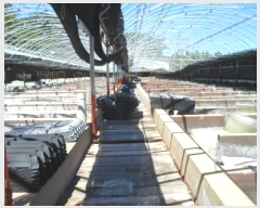  2024Ÿ��1668 ���� �ϵ��� ��ȭ�� ��õ�� ��9-1      �������