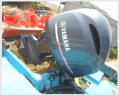  2024Ÿ51571 () ϵ . .       ڰ