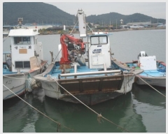  2024Ÿ��52352 (����) �ϵ��� . .       ���ڰ��