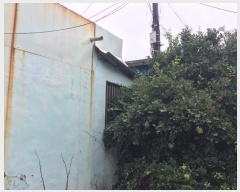  2024Ÿ54150  ϵ  ȭ 743-3      ()