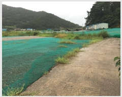  2024Ÿ54150  ϵ  ȭ 743-3      ()