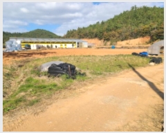  2024Ÿ��54389  ����