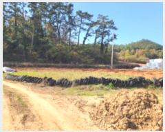  2024Ÿ��54389  ����