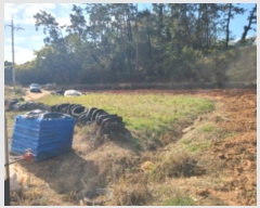  2024Ÿ��54389  ����