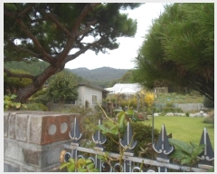  2024Ÿ54396    ܸ 340-2      ð