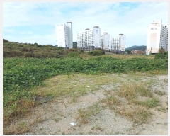  2024Ÿ54402     125-5      ()