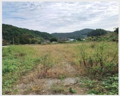  2024Ÿ54402     125-5      ()