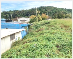  2024Ÿ54402     125-5      ()